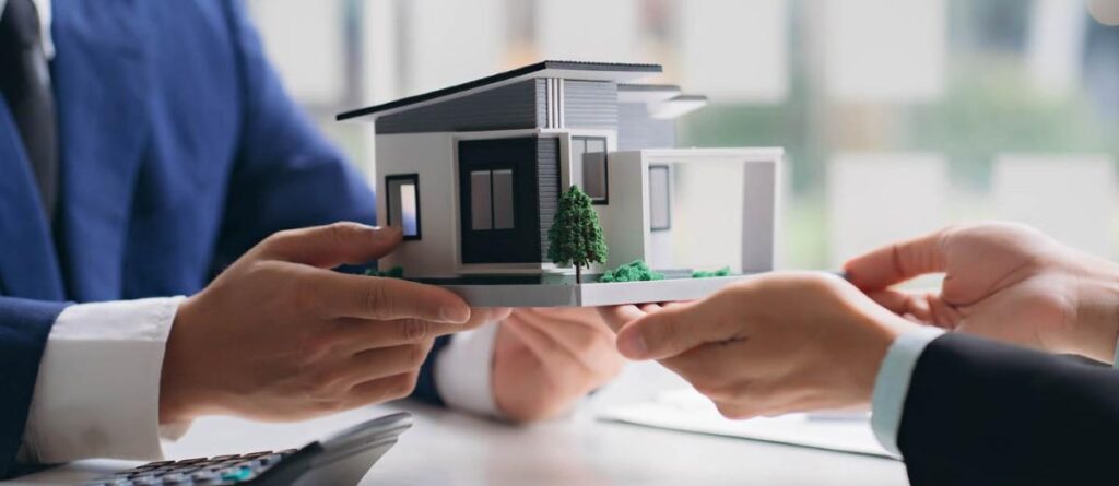 Buying Guide: What to Consider Before Purchase