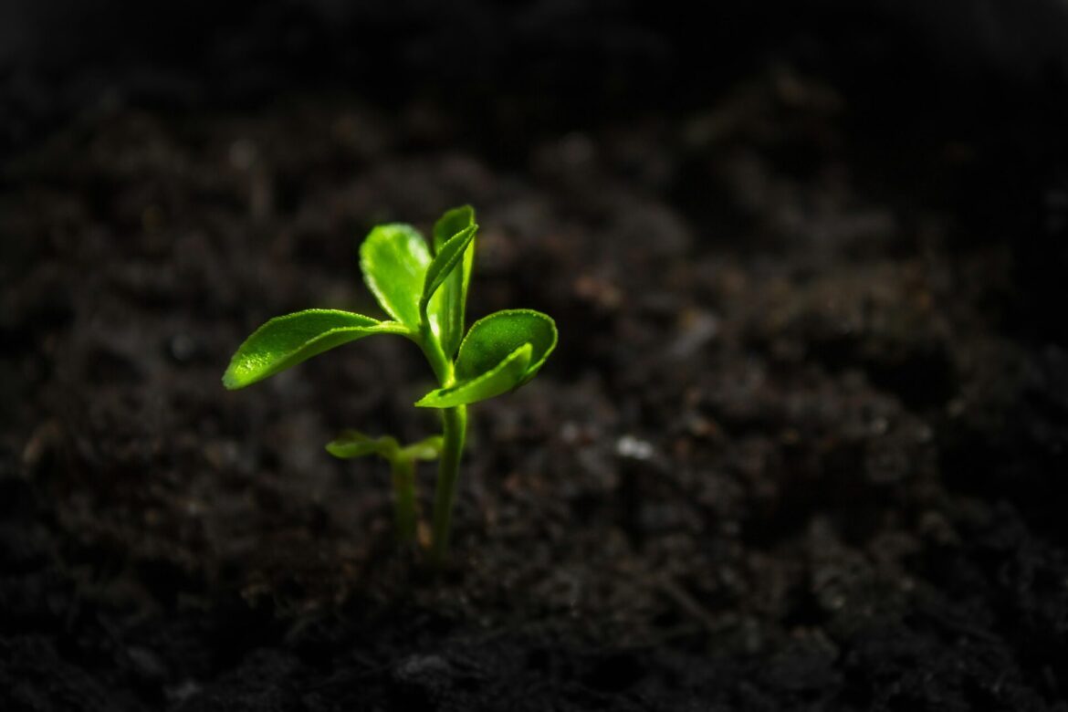 Where there’s a will, there’s a way.